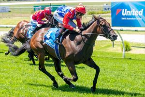 KING MAKES STAND AT YARRA VALLEY